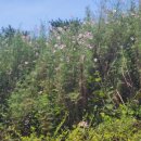 세븐일레븐 종로사직점 이미지