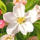 유교경전: 논어편 이미지