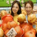 양파수산