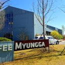 망원정마당 공중화장실 | [경북/경산] 커피명가 본: 복사꽃에 둘러싸인 카페로 봄나들이(2026.04.08)