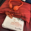 091 | 튀르키예 여행 터키항공 TK091 카파도키아 네브셰히르 환승 TK2000 후기