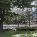 신트리공원 배드민턴장 이미지