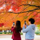 화성카프라자 이미지