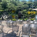 창진산장휴게소 이미지