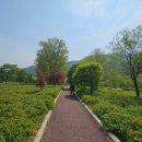 DMZ 평화의 길 22코스(화천대교 ~ 풍산교) 걷기 - 2025.04.30