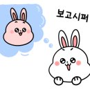 하리애견 이미지