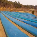 종지농장 이미지