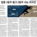 팜오션 이미지