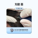 가양동물의료센터 이미지