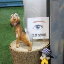 훈민상사