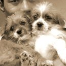 아롱이다롱이 이미지