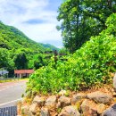 유아숲화장실 이미지