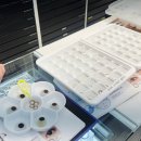 오렌즈 수완점 이미지