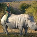 코뿔소한의원 이미지