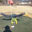 해나루 파크골프장 | 칠십세, 파크골프장 이모저모 후기들.