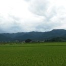 강동면사무소 이미지