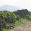 삼양환해장성 이미지