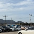 거제시농업개발원 | 거제가볼만한곳 거제식물원 정글돔