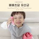 쓰담 | 아기 어린이유산균 선택 딸기맛 배배쓰담 재구매후기