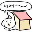새결뷰티