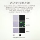 싱싱야채，과일