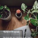 [중보기도요청] 2024년6월23일(주일) 이미지