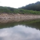 미동배수장 Daum카페