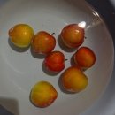 펜션 로빈나 문화마을 | [단양 여름휴가] 가곡 동굴 펜션 캠핑장, 맑은 계곡에서 즐기는 시원한 힐링