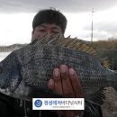 바다정성