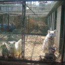 가야산펜션 이미지