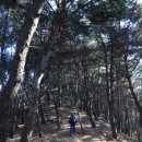 내리 1 밀양경로당 이미지