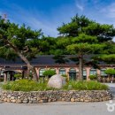 세종전통장류박물관 이미지