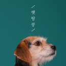 이층사진관