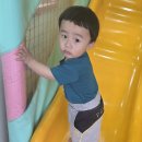 토리키즈카페 이미지