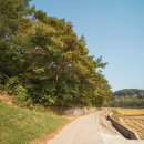 의령 운곡리 고분군 이미지