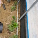 명이농장 이미지