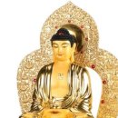 삼보광택 이미지