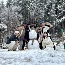 초시산장 이미지