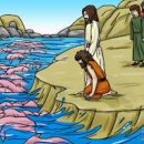 성내 양돈 이미지