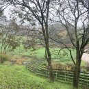 삼만목장 이미지