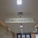 박애약국 | [난징여행🇨🇳] 1일차 - 개고생해서 들어간 난징박물관, 오토바이 히치하이킹해서 도착한 중산릉, 미령궁