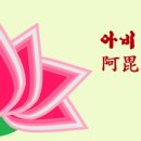 견*수