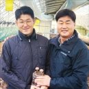 정창식농장 이미지