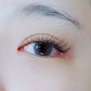 블라썸속눈썹