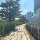 [수원영통/망포밀키트전문점] 일요일 저녁으로 먹은 배달맛집, 김프로부대찌개&amp;이츠밀 밀푀유나베 솔직후기