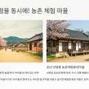 산벚꽃농촌체험휴양마을 이미지