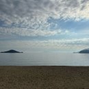 올리브 비치 이미지