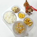 망 용 | 내돈내산 유아식판 바망바망 식판 탁가온 비교 굿그릇 5구 후기