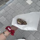 더기베이글 이미지