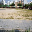 서울영화초등학교 이미지